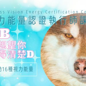 Access Vision Energy Certification Course 視力能量認證執行師課程